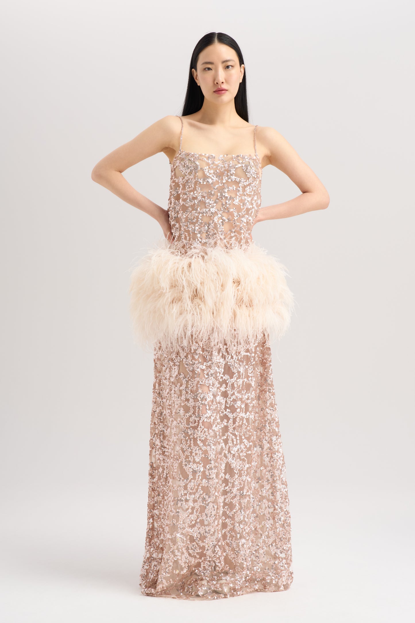 EMBROIDERED FEATHER DRESS