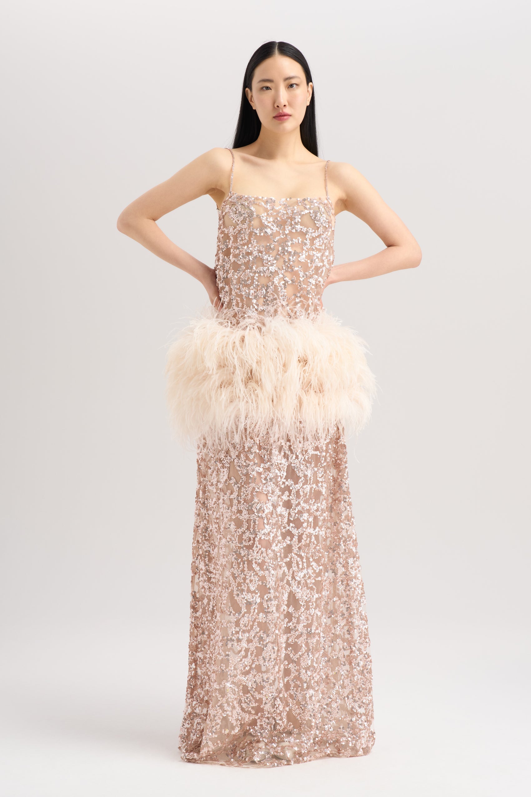 EMBROIDERED FEATHER DRESS